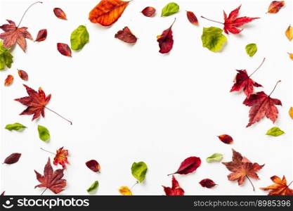 Autumn multicolored leaves on white background with copy space. Nature background. Autumn dry leaves on white
