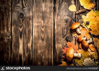 Autumn mushrooms with maple leaves. On a wooden table.. Autumn mushrooms with maple leaves.