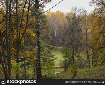 Autumn nature, autumn trees and river