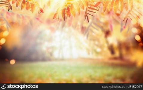 Autumn nature background with colorful fall foliage, pasture and sunbeams