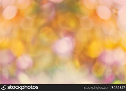 autumn nature bokeh background with blurred lights