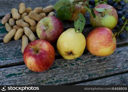 Autumn nature concept. Fall fruit on wood (thanksgiving, background, autumn)