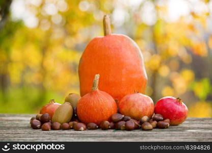 Autumn nature concept. Fall fruits outdoors on a wooden table