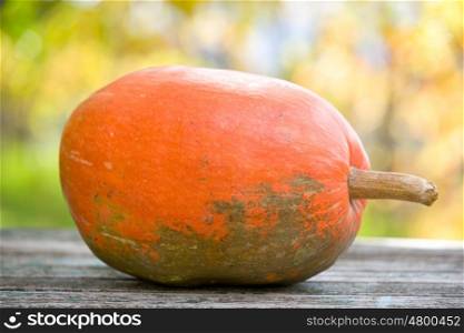 Autumn nature concept. pumpkin on a wooden table