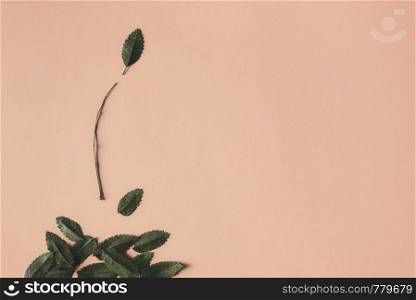 Autumn nature concept with leaves falling from a branch on a light brown background. Above view of a fall composition. Autumn leaves background.
