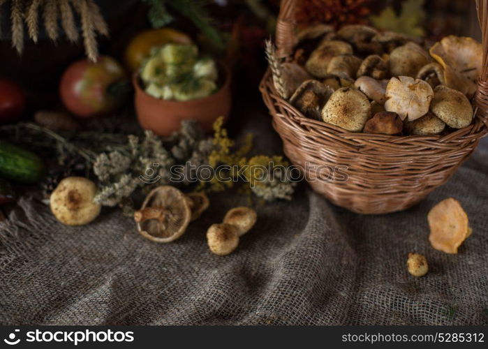 autumn nature gifts. Still life from autumn nature gifts. mushrooms and vegetables