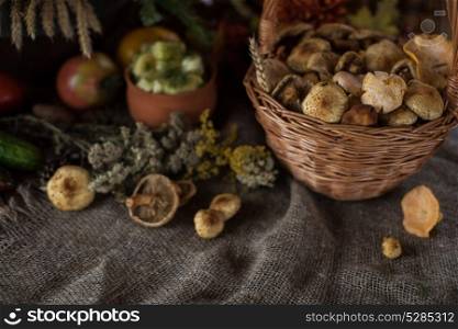 autumn nature gifts. Still life from autumn nature gifts. mushrooms and vegetables