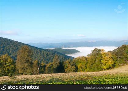 Autumn nature landscape with mountains, trees and fog. Carpathian Mountains.