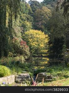 autumn nature with trees and pond with bridge
