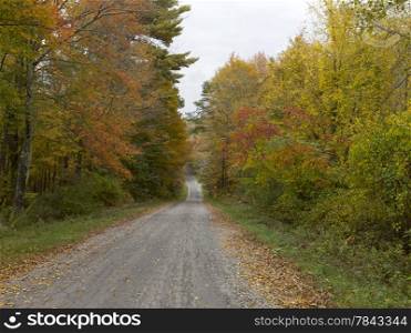 Autumn, New England, Connecticut, United States America