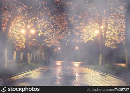 Autumn night landscape in the park alley trees