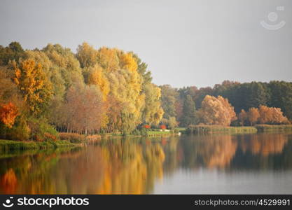 Autumn October colorful park. Foliage trees alley in park