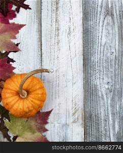 Autumn or fall maple and oak leaves plus pumpkin over white rustic wood background in vertical layout   