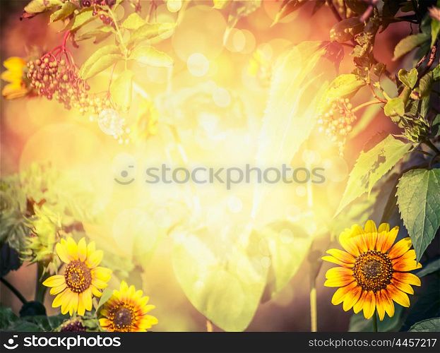 Autumn or summer blurred nature background with sunflowers, leaves,elder and foliage with sunlight and bokeh.