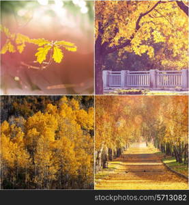 autumn orange collage