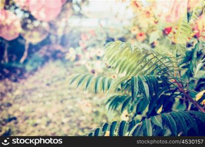 Autumn outdoor nature background with leaves at garden or park