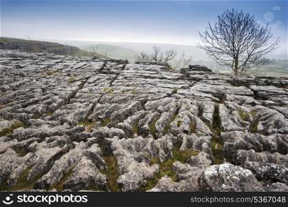 Autumn over limestone pavement at Malham in Yorkshire Dales National Park
