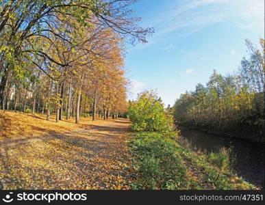 autumn park