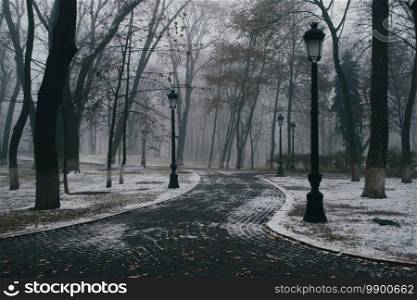 Autumn park in the days of the first snow