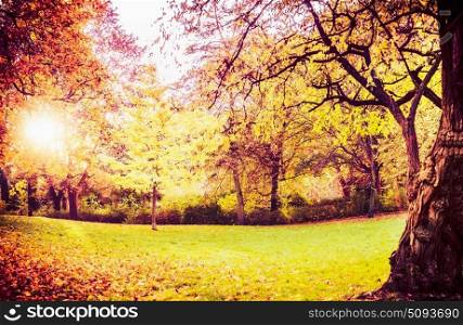 Autumn park landscape with lawn,trees Beautiful foliage and sun shine, outdoor fall nature background