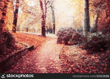 Autumn park landscape with path,trees, Beautiful foliage and sun shine, outdoor fall nature background