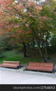 Autumn park. Rainy weather. The Lvov park