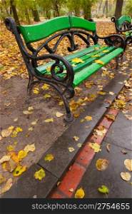 Autumn park. Rainy weather. The Lvov park
