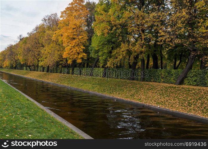Autumn park through the canal. Autumn background