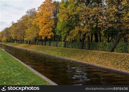 Autumn park through the canal. Autumn background