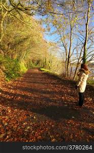 Autumn Pathway. Co.Cork, Ireland. Woman walking. Orange leaves in the foreground.