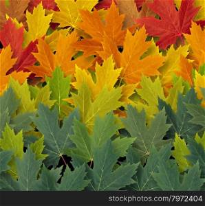 Autumn pattern background symbol as a seasonal themed concept and an icon of nature and the fall weather with a gredating group of red yellow and green leaves representing the coming cool weather of harvest time.
