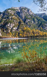 Autumn peaceful alpine lake Durrensee or Lago di Landro. Snow-capped Cristallo rocky mountain group behind, Dolomites, Italy, Europe. Picturesque traveling, seasonal and nature beauty concept scene.