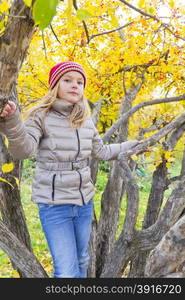 Autumn photo of Red Hat girl on tree in autumn