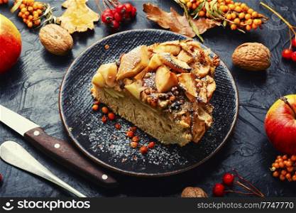 Autumn pie with apples, nuts and sea buckthorn. Charlotte on kefir.. Slice of rustic apple pie