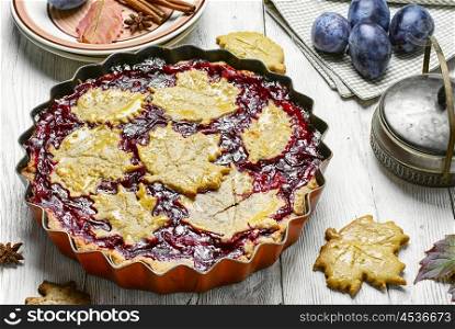 Autumn plum cake. Harvest pie with autumn plums with autumn style