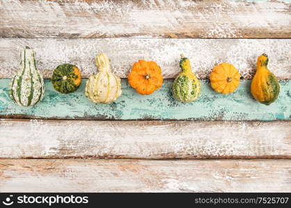 Autumn Pumpkin on Wooden Background. Harvest. Thanksgiving