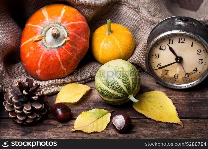 Autumn pumpkins and clock. Autumn still life with decorative pumpkins and reto clock
