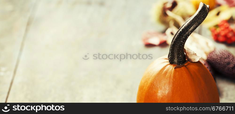 Autumn pumpkins on wooden board