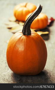 Autumn pumpkins on wooden board