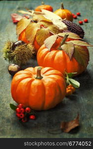 Autumn pumpkins on wooden board