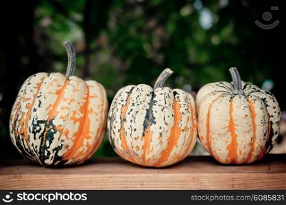 Autumn pumpkins on wooden board in a row