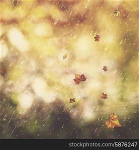 Autumn rain. Abstract seasonal backgrounds with fall and water drops