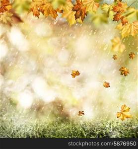 Autumn rain. Abstract seasonal backgrounds with fall and water drops