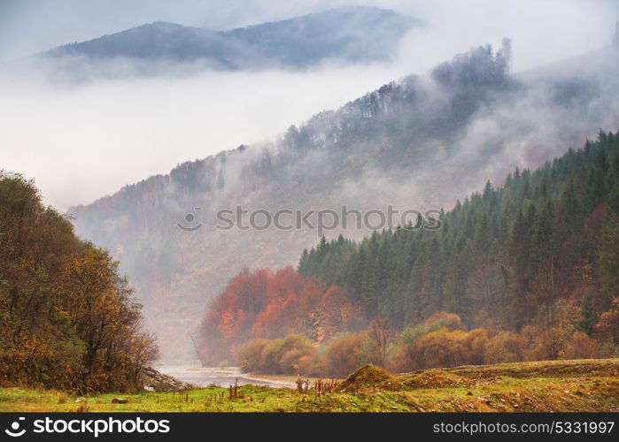 Autumn rain and fog in the mountains. Fog over the river. Thick fog around highest mountain tops. Colorful autumn forest background
