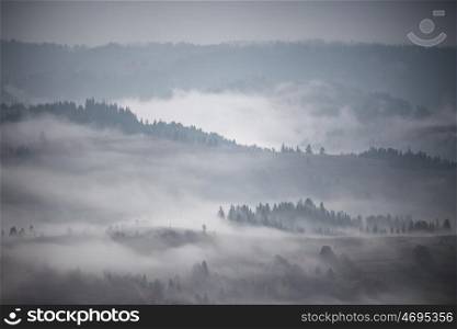 Autumn rain and mist in mountains. Morning fog over hills and forest. Thick fog around mountain tops. Fall background