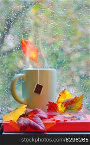 Autumn rainy window with hot tea and books