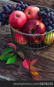 Autumn red apples. Autumn harvest of ripe grapes and red apples in stylish metal