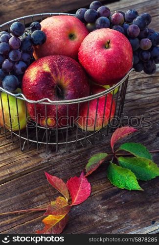 Autumn red apples. Autumn harvest of ripe grapes and red apples in stylish metal