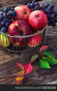 Autumn red apples. Autumn harvest of ripe grapes and red apples in stylish metal