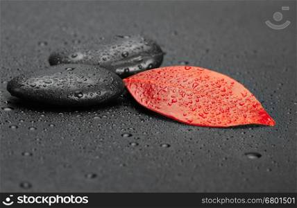 autumn red leaf and black stones